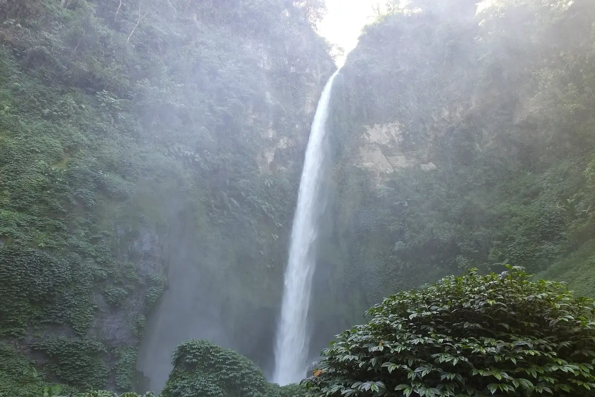 Air terjun Coban Pelangi di Poncokusumo, Kabupaten Malang, diapit tebing hijau berkabut